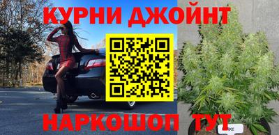 спайс Будённовск