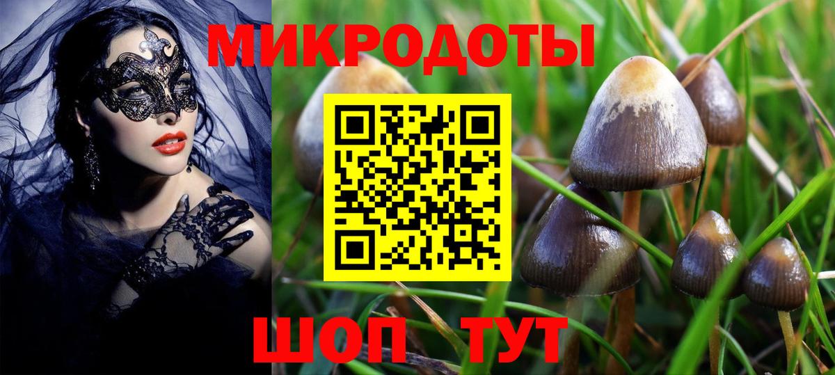 Псилоцибиновые грибы Cubensis Соликамск