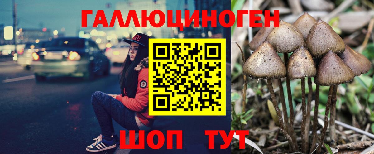 Соликамск  Галлюциногенные грибы мухоморы  Вход с VPN 